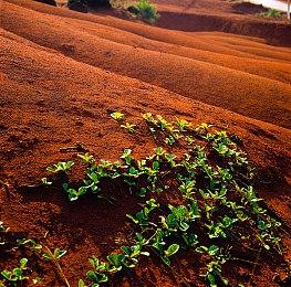 《刺客信条：幻景》官方4K截图公布